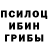 Псилоцибиновые грибы мицелий zerate