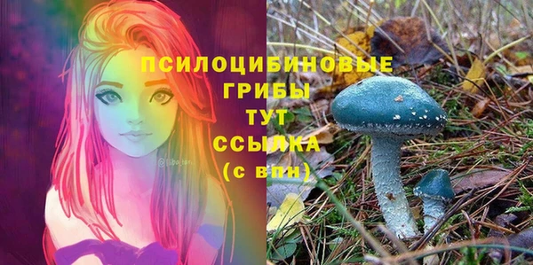Альфа ПВП Абаза